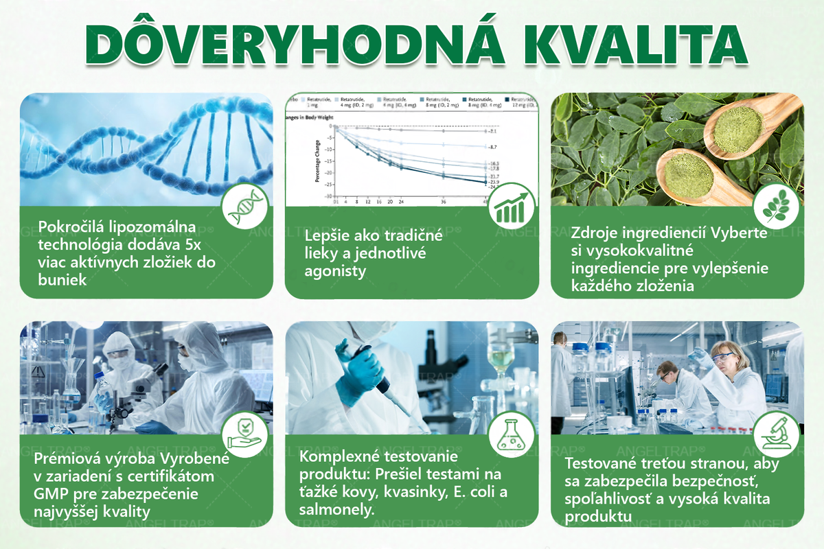 𝐴𝑁𝐺𝐸𝐿𝑇𝑅𝐴𝑃®📦 Moringa × Berberine × AMPK 10-in-1 Metabolic Support Nano Microneedle Patch 🇸🇰 (Na použitie iba raz denne, viditeľné zmeny už po 7 dňoch) ✅ Podporuje chudnutie, metabolické zdravie, spánkovú apnoe, problémy s kĺbmi a mnoho ďalších výhod